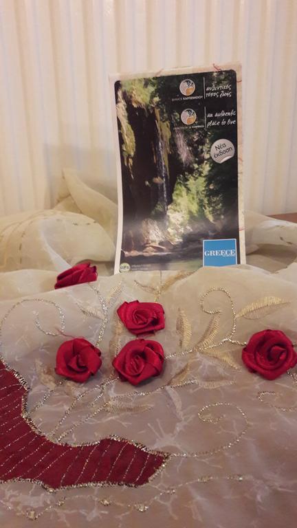 Artemis Hotel Karpenisi Buitenkant foto